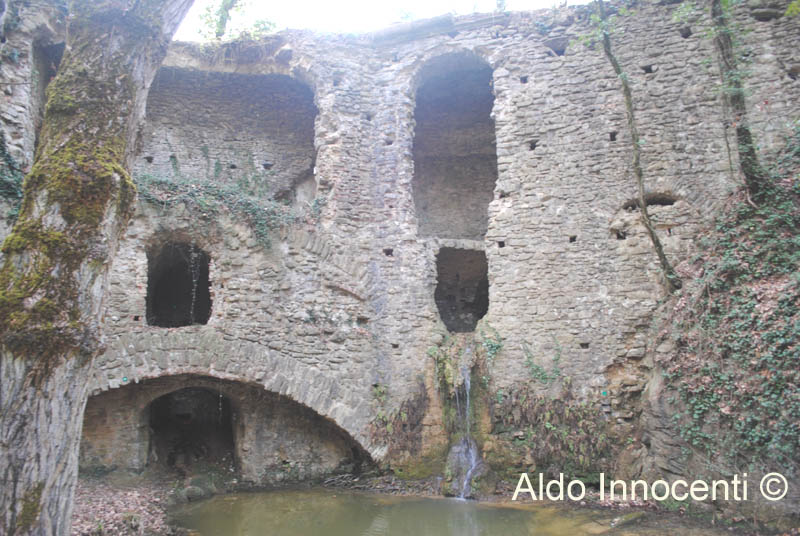 MULINACCIO DI SCANDICCI: MULINACCIO 7' IMMAGINE